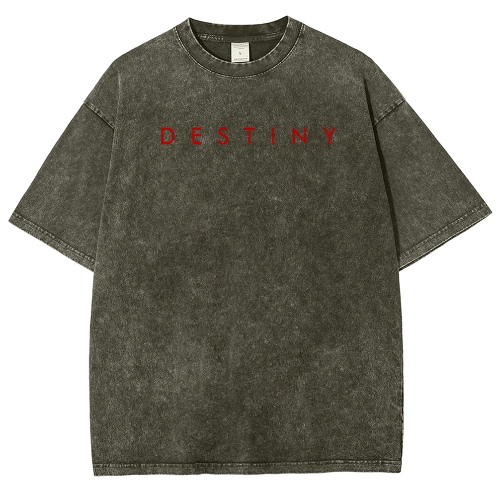 Destiny Unisex Fit Washed T-Shirt 2606006939