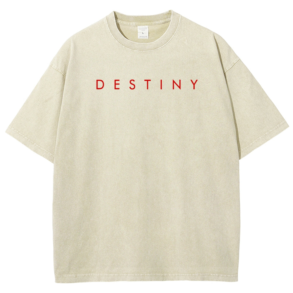 Destiny Unisex Fit Washed T-Shirt 2606006939