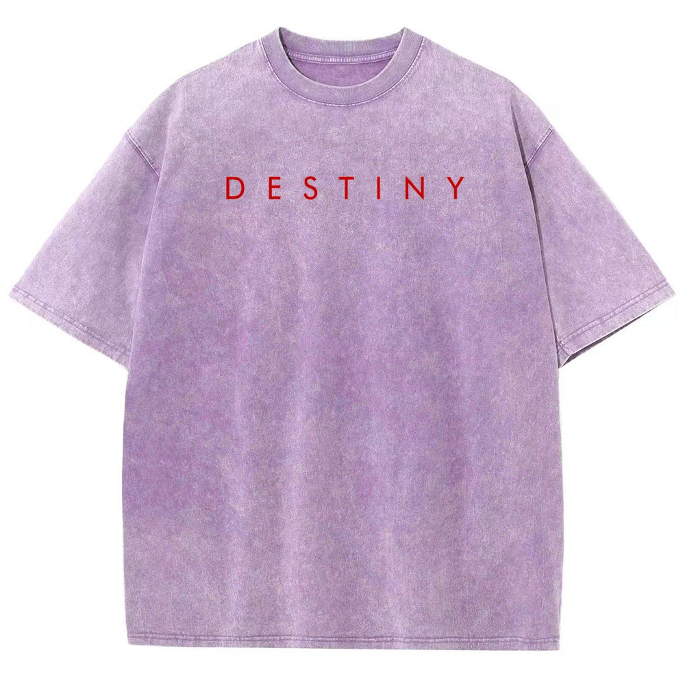 Destiny Unisex Fit Washed T-Shirt 2606006939