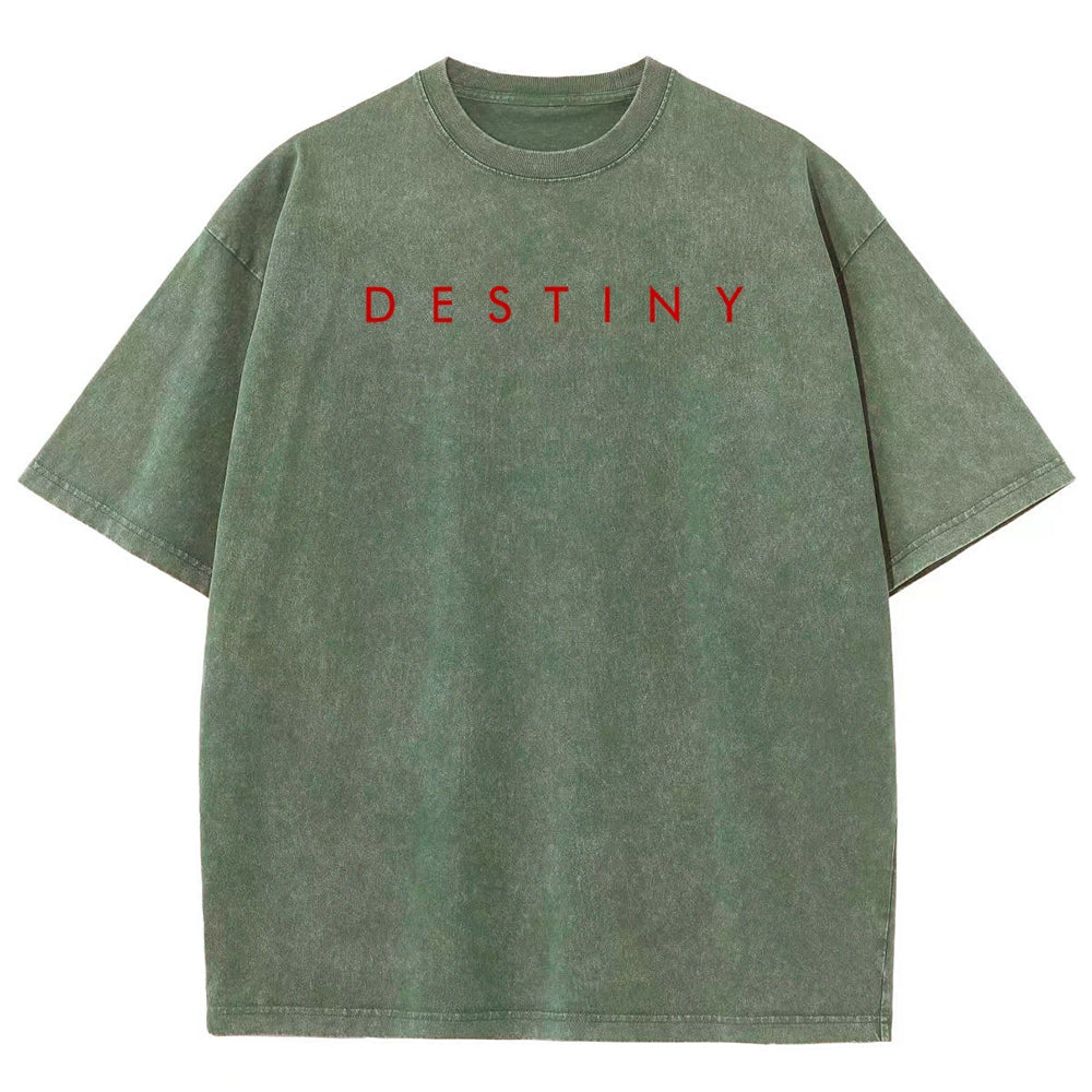 Destiny Unisex Fit Washed T-Shirt 2606006939