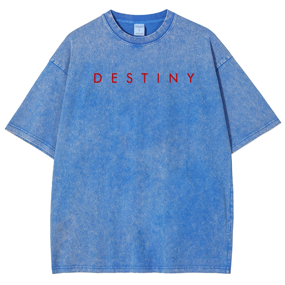 Destiny Unisex Fit Washed T-Shirt 2606006939