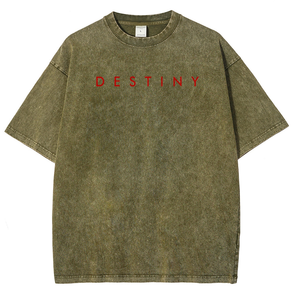 Destiny Unisex Fit Washed T-Shirt 2606006939