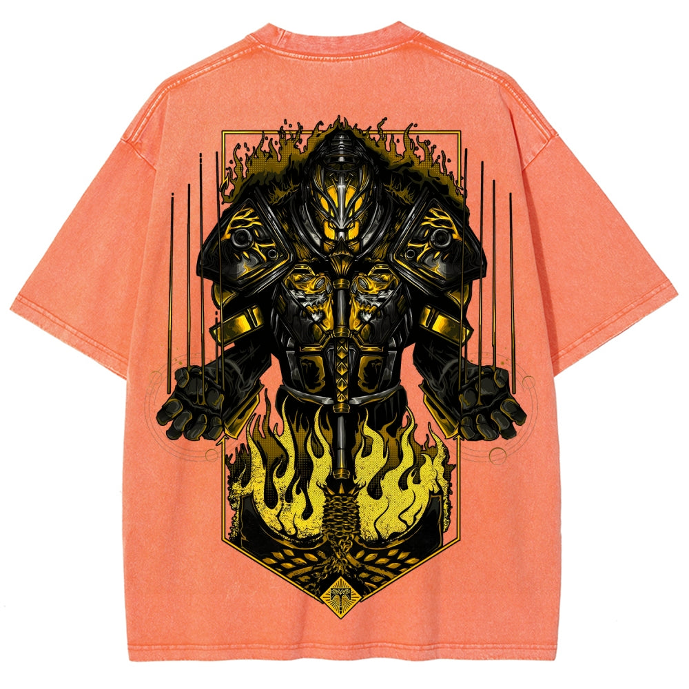 Destiny Unisex Fit Washed T-Shirt 2606006979