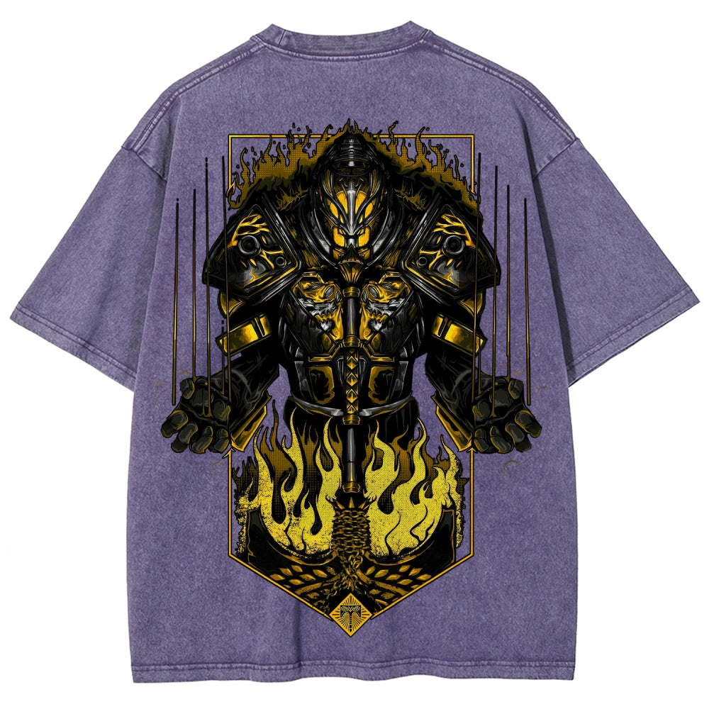 Destiny Unisex Fit Washed T-Shirt 2606006979