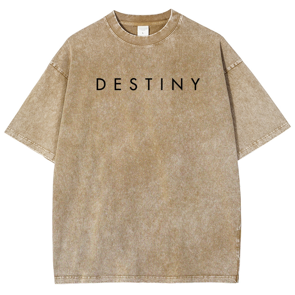 Destiny Unisex Fit Washed T-Shirt 2606007729