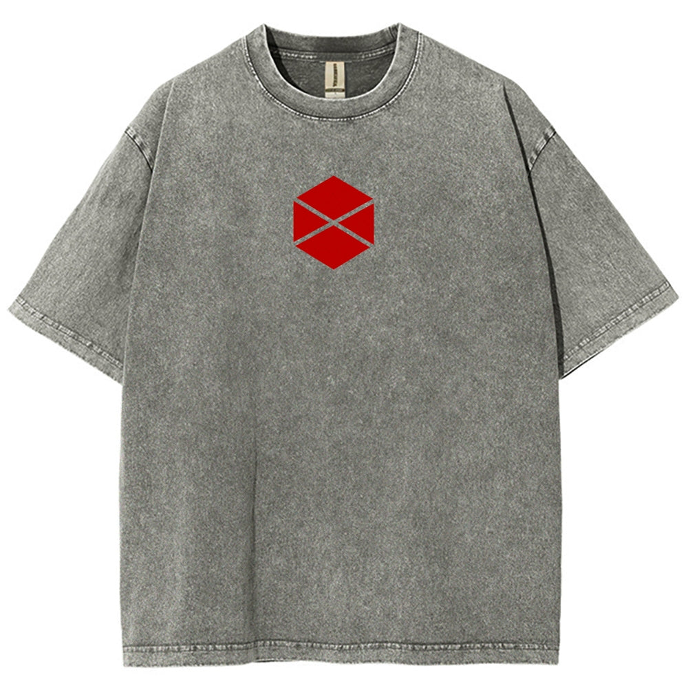 Destiny Unisex Fit Washed T-Shirt 2606007734