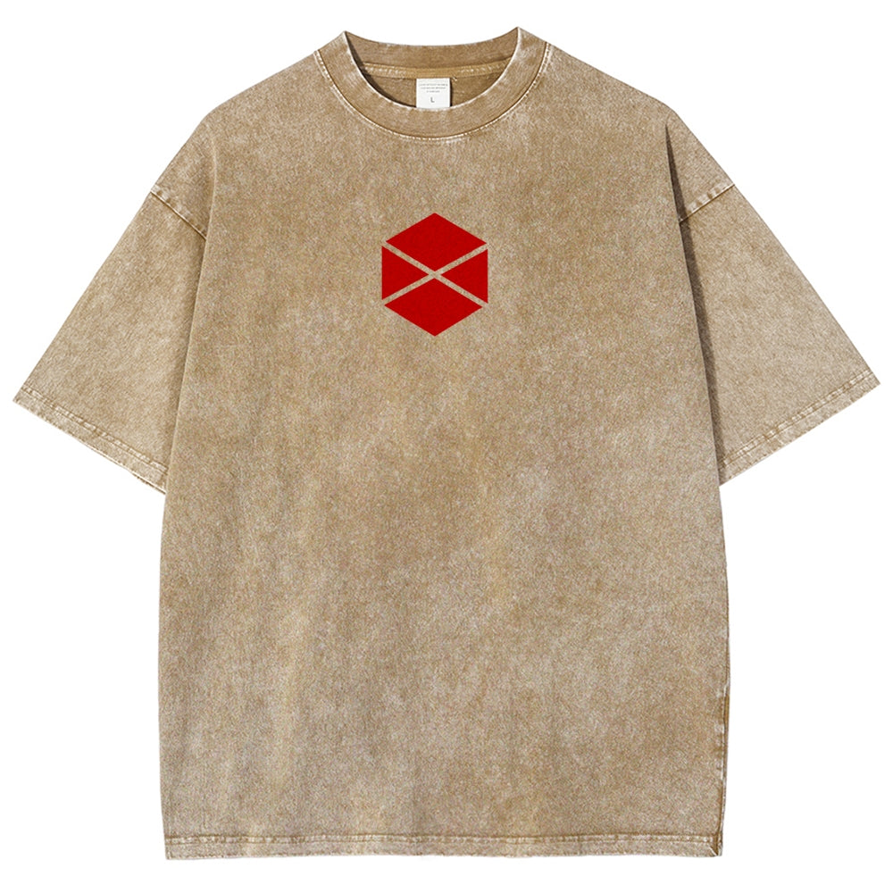 Destiny Unisex Fit Washed T-Shirt 2606007734