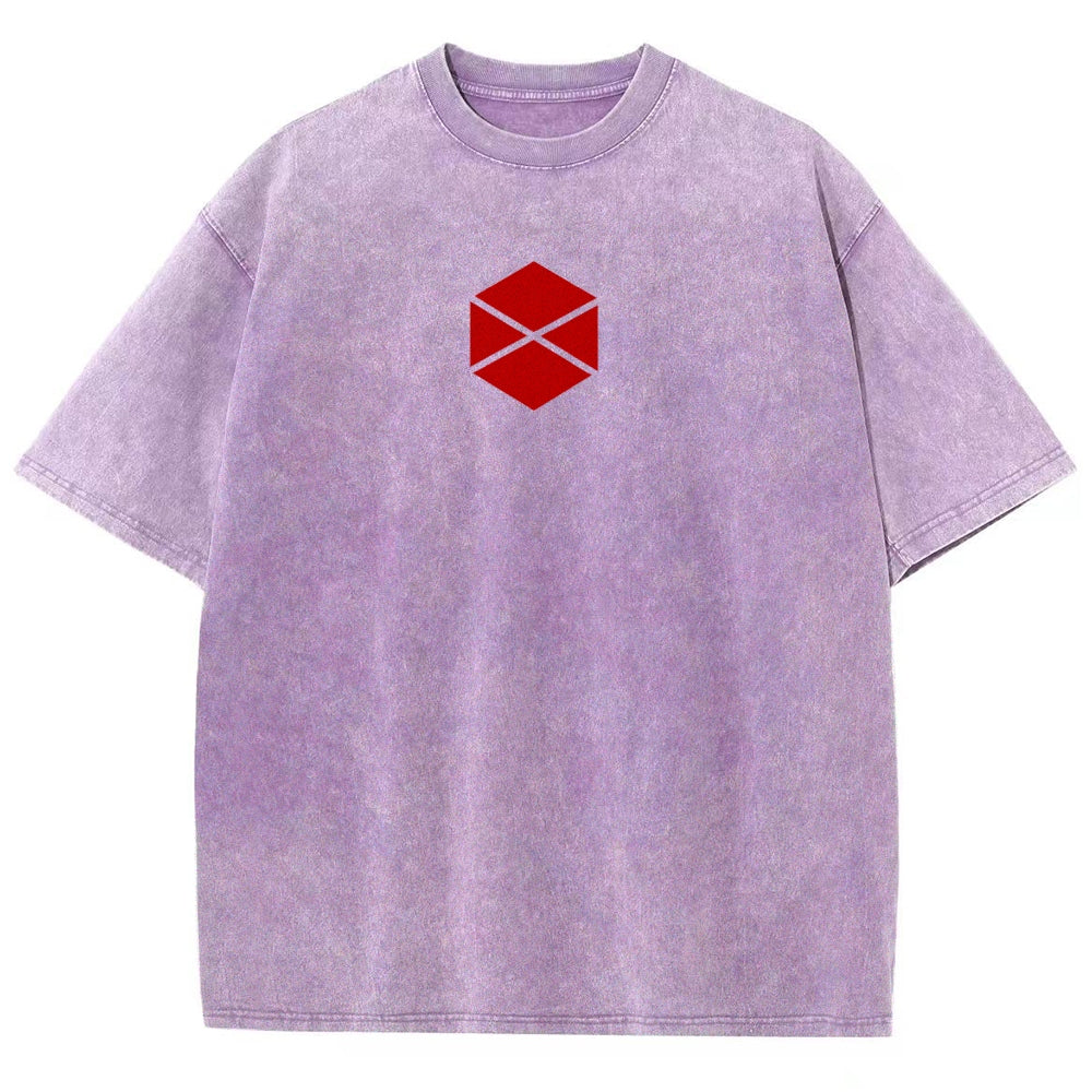 Destiny Unisex Fit Washed T-Shirt 2606007734