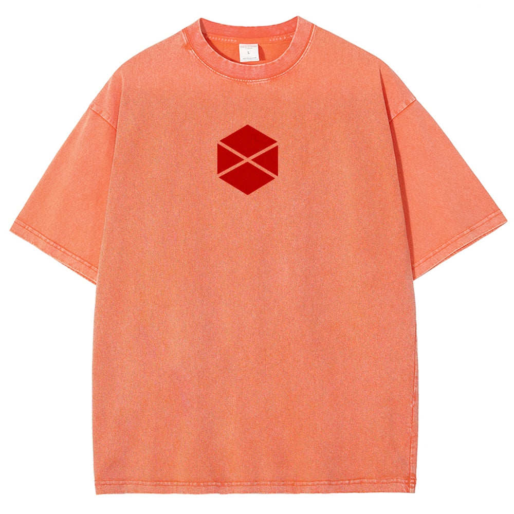 Destiny Unisex Fit Washed T-Shirt 2606007734