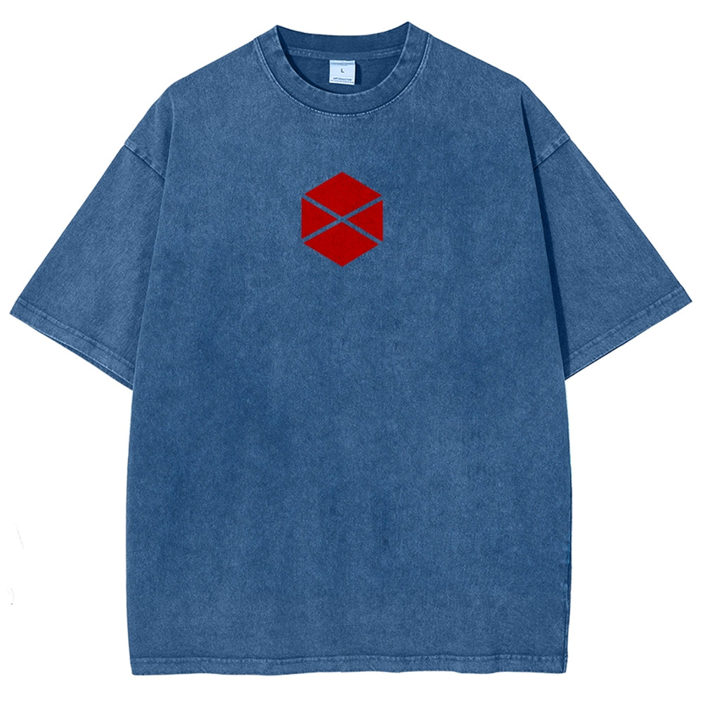 Destiny Unisex Fit Washed T-Shirt 2606007734