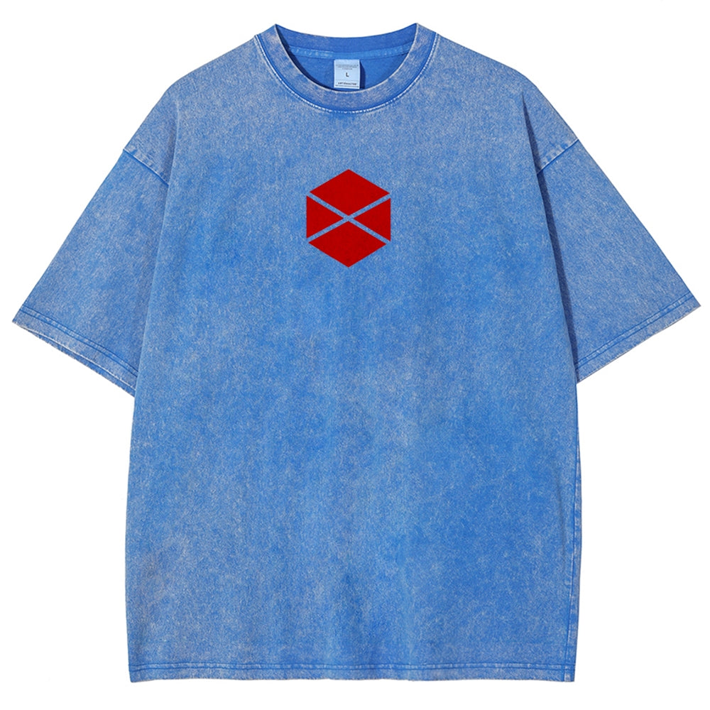 Destiny Unisex Fit Washed T-Shirt 2606007734