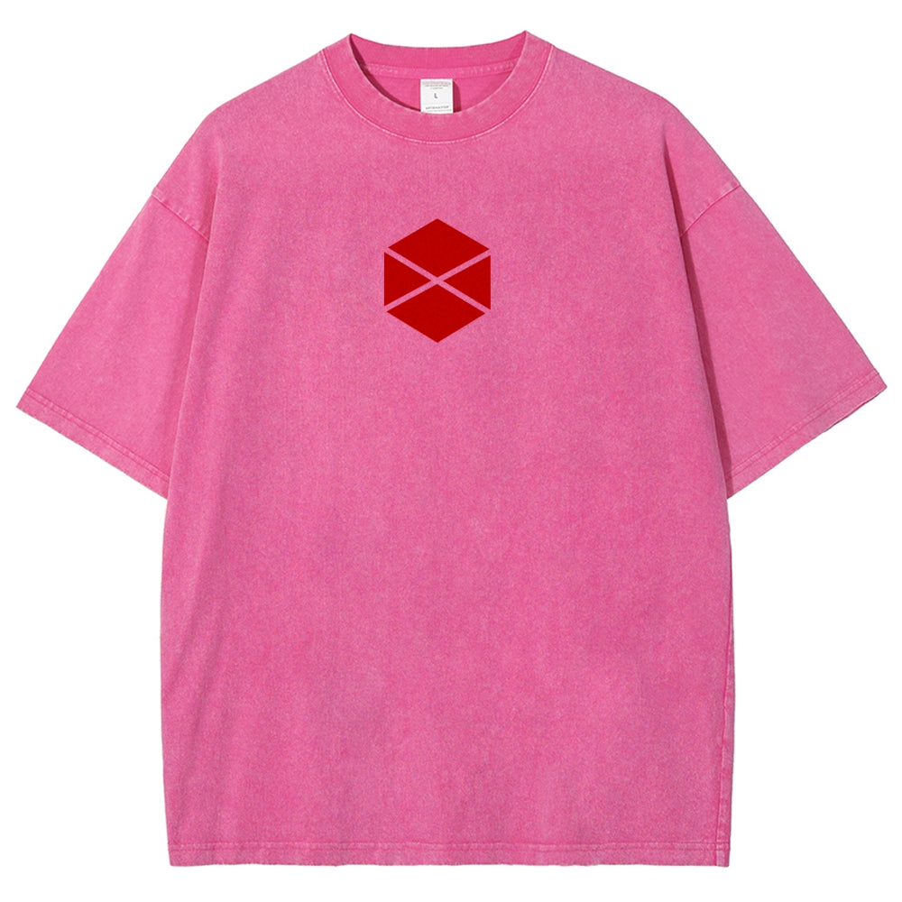 Destiny Unisex Fit Washed T-Shirt 2606007734