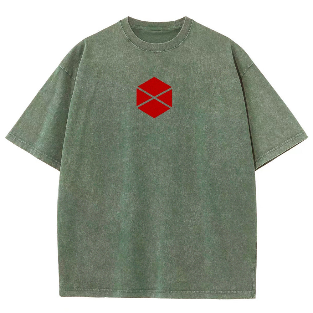 Destiny Unisex Fit Washed T-Shirt 2606007734