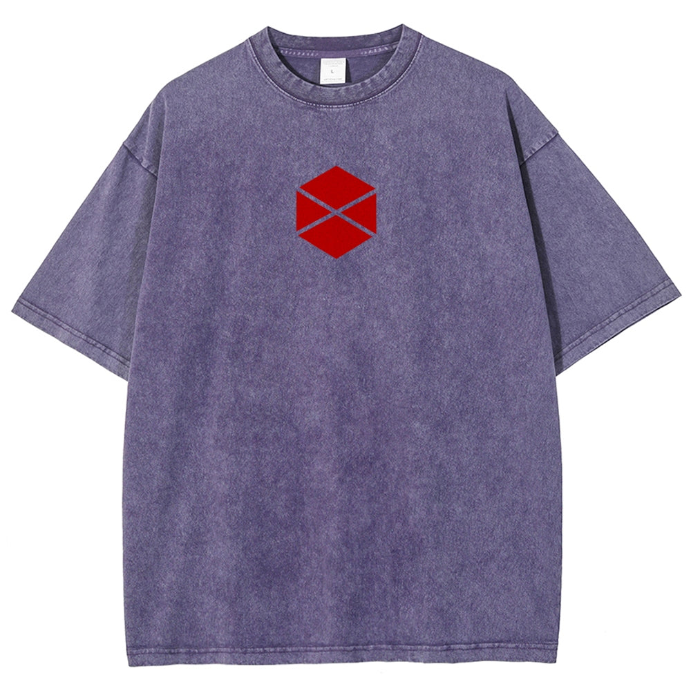 Destiny Unisex Fit Washed T-Shirt 2606007734