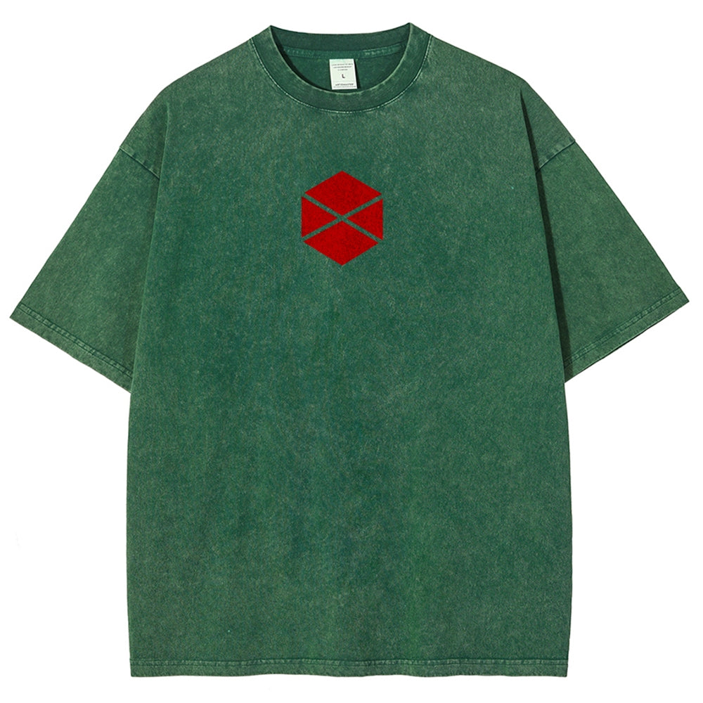 Destiny Unisex Fit Washed T-Shirt 2606007734