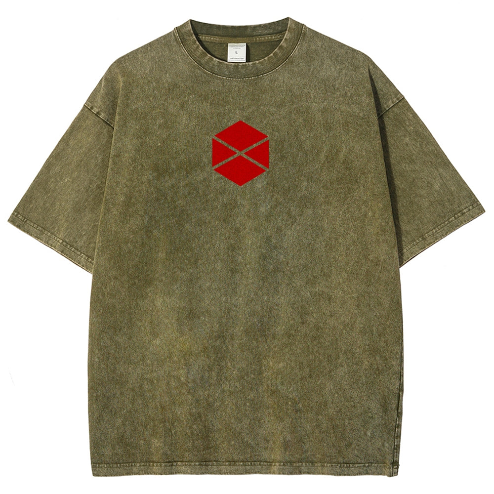 Destiny Unisex Fit Washed T-Shirt 2606007734