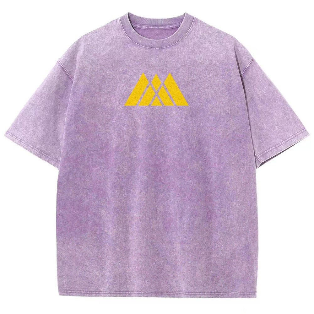 Destiny Unisex Fit Washed T-Shirt 2606007747