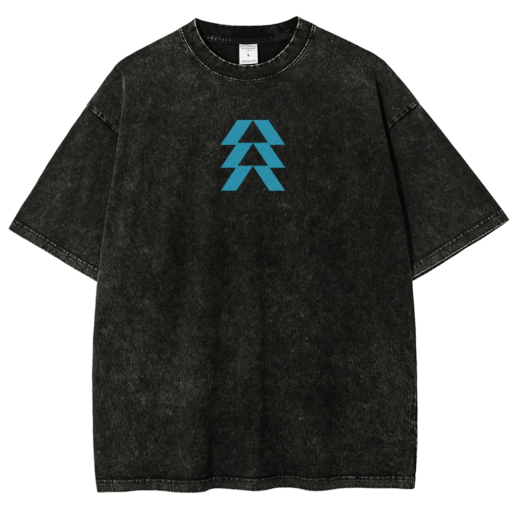 Destiny Unisex Fit Washed T-Shirt 2606007749