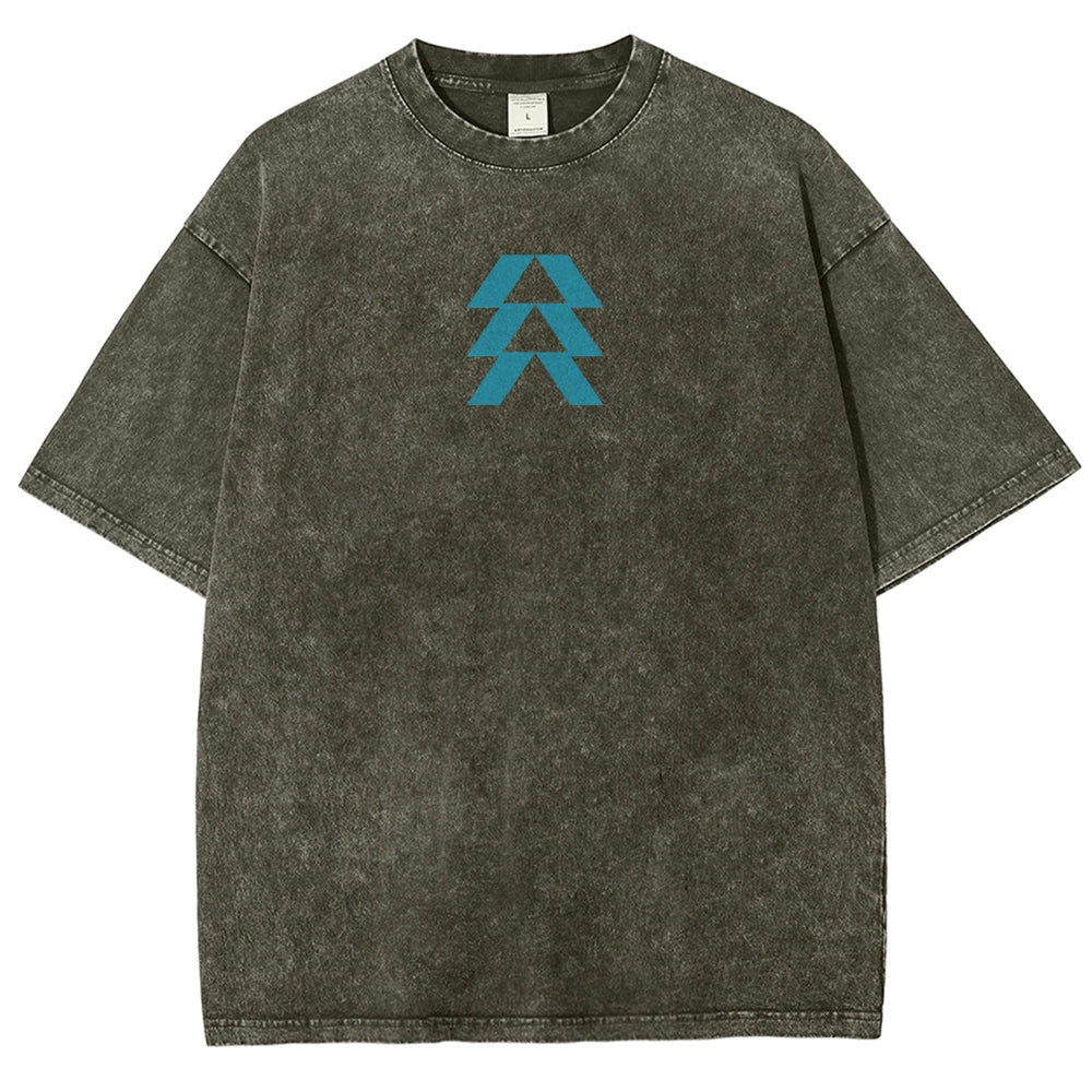 Destiny Unisex Fit Washed T-Shirt 2606007749