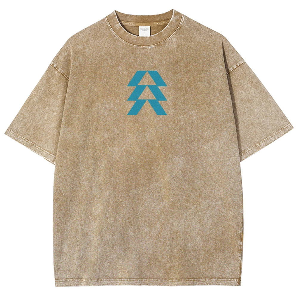 Destiny Unisex Fit Washed T-Shirt 2606007749
