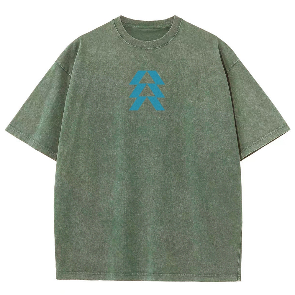 Destiny Unisex Fit Washed T-Shirt 2606007749
