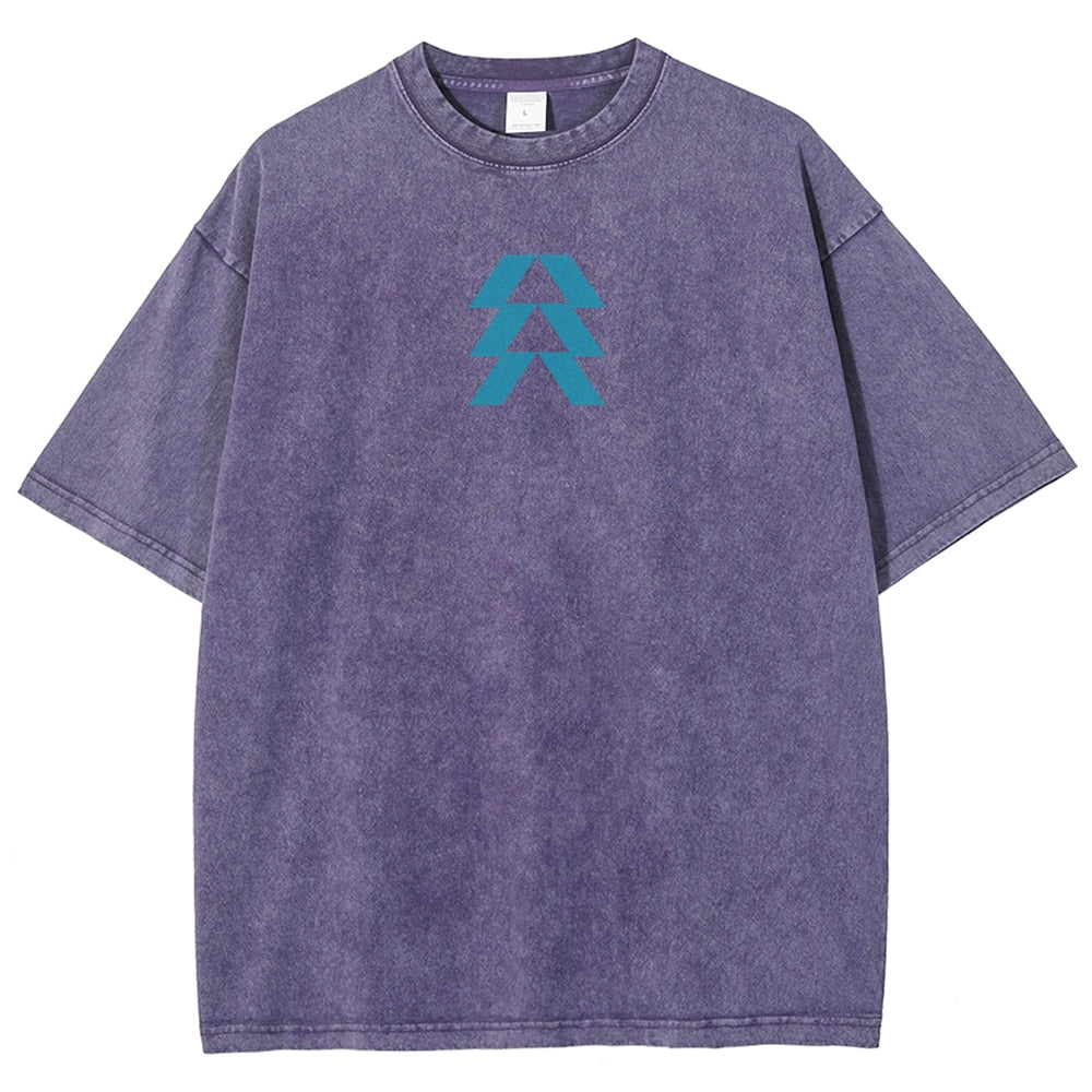 Destiny Unisex Fit Washed T-Shirt 2606007749