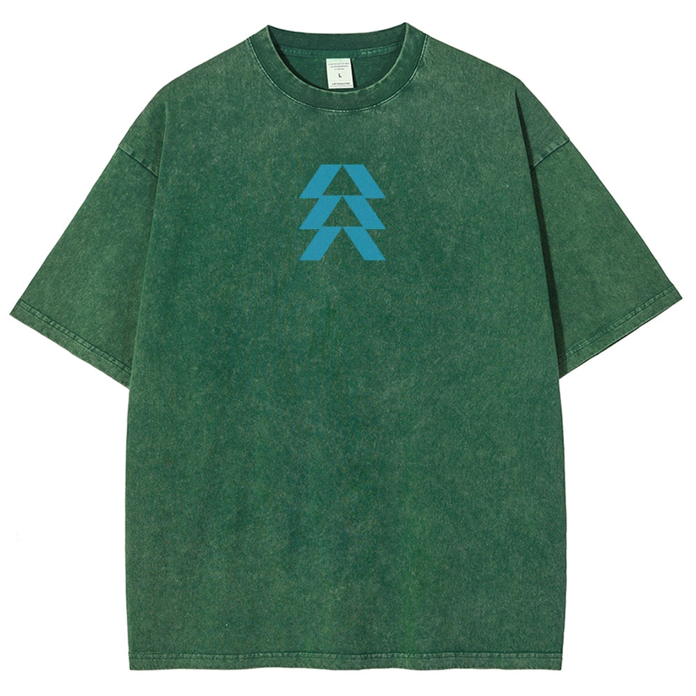 Destiny Unisex Fit Washed T-Shirt 2606007749