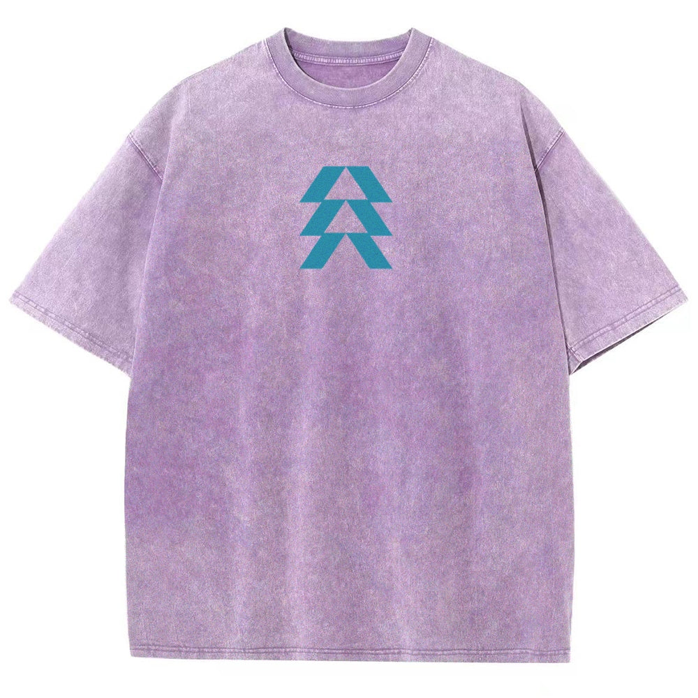 Destiny Unisex Fit Washed T-Shirt 2606007749