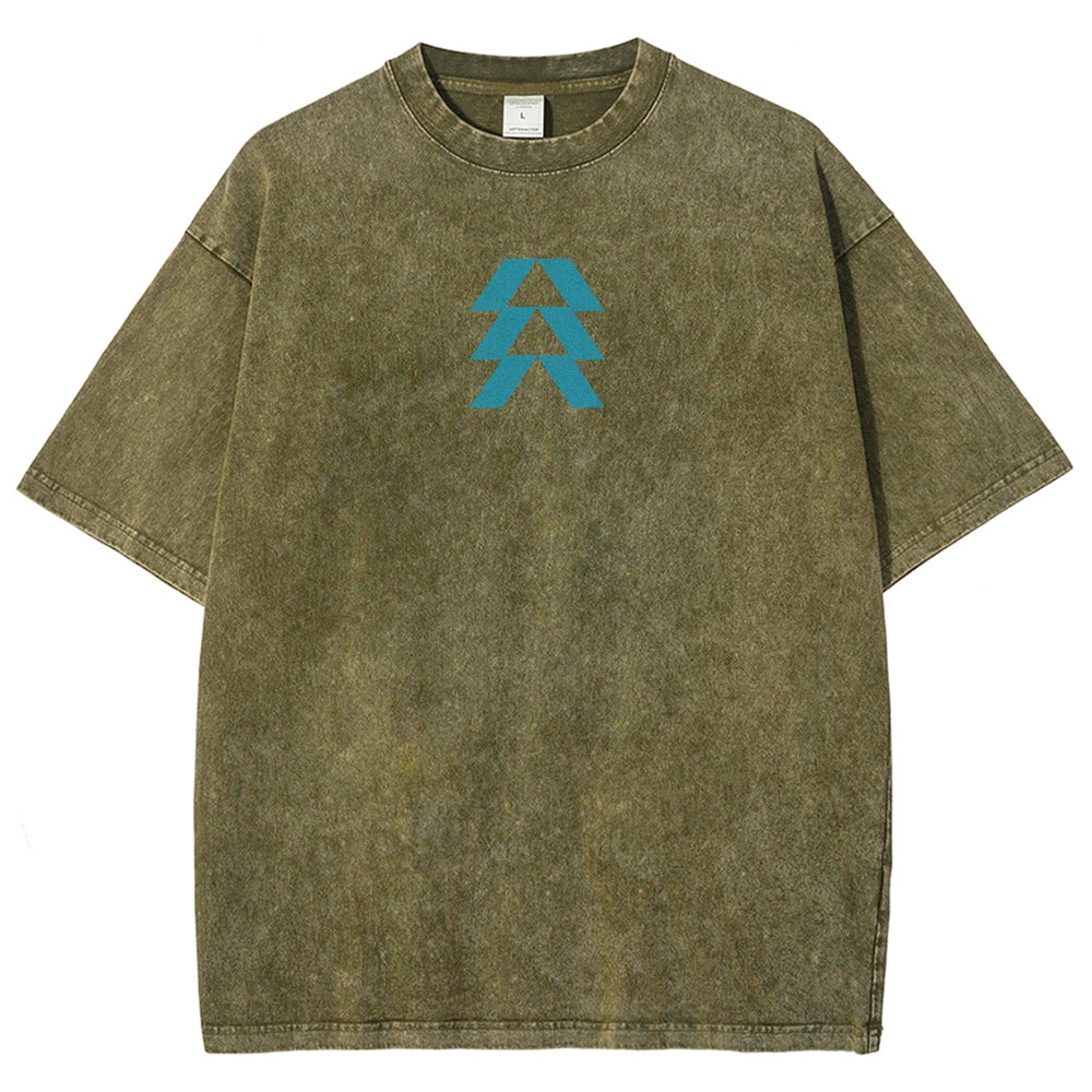 Destiny Unisex Fit Washed T-Shirt 2606007749
