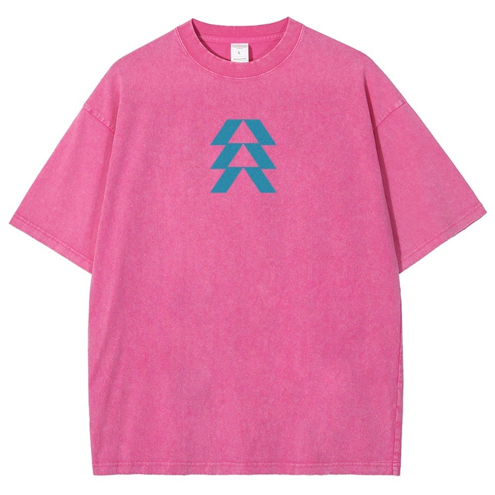 Destiny Unisex Fit Washed T-Shirt 2606007749