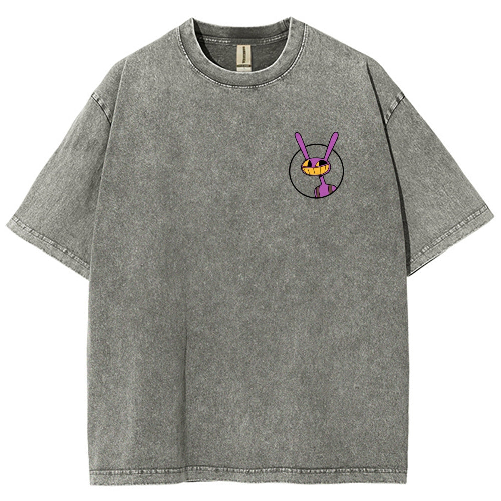The Amazing Digital Circus Washed T-shirt 2606015548