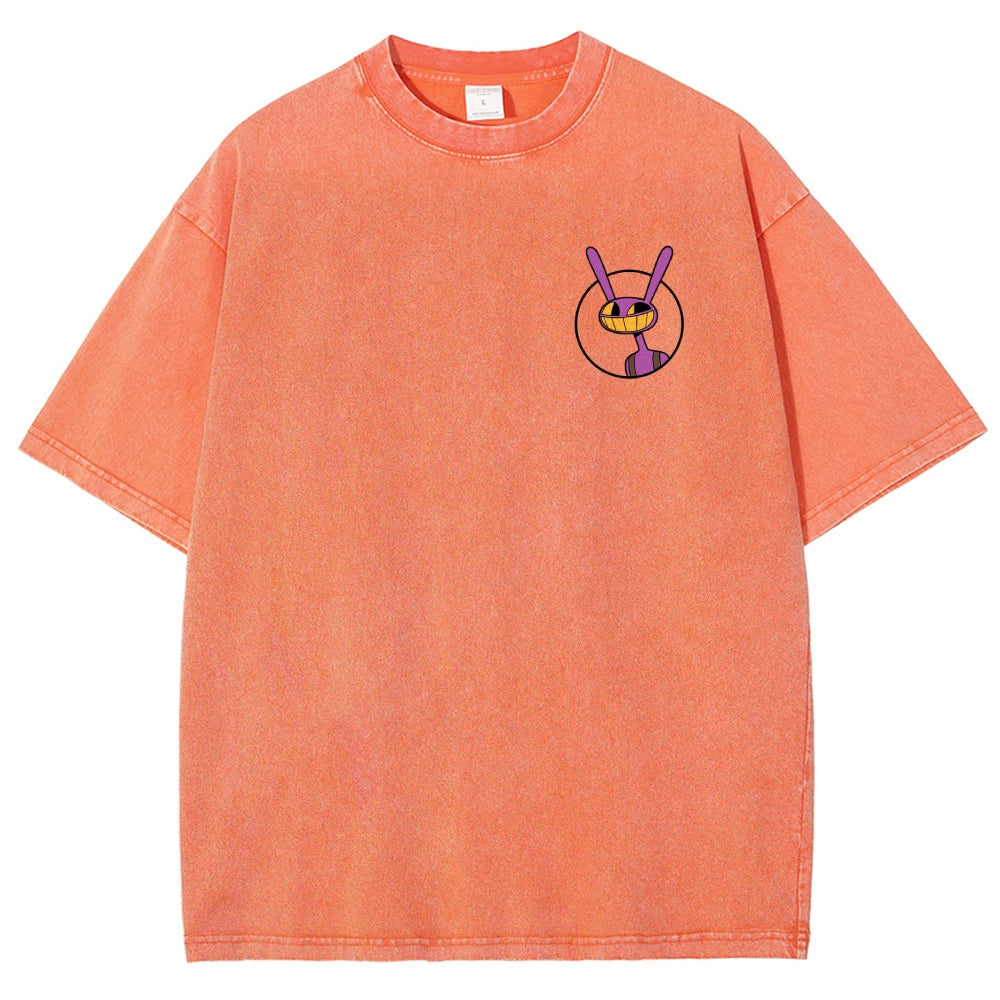 The Amazing Digital Circus Washed T-shirt 2606015548