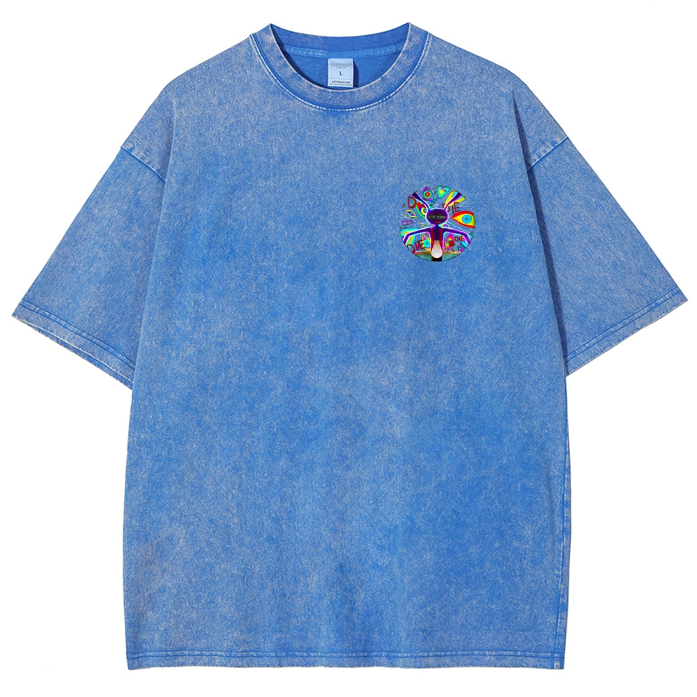 The Amazing Digital Circus Washed T-shirt 2606016899