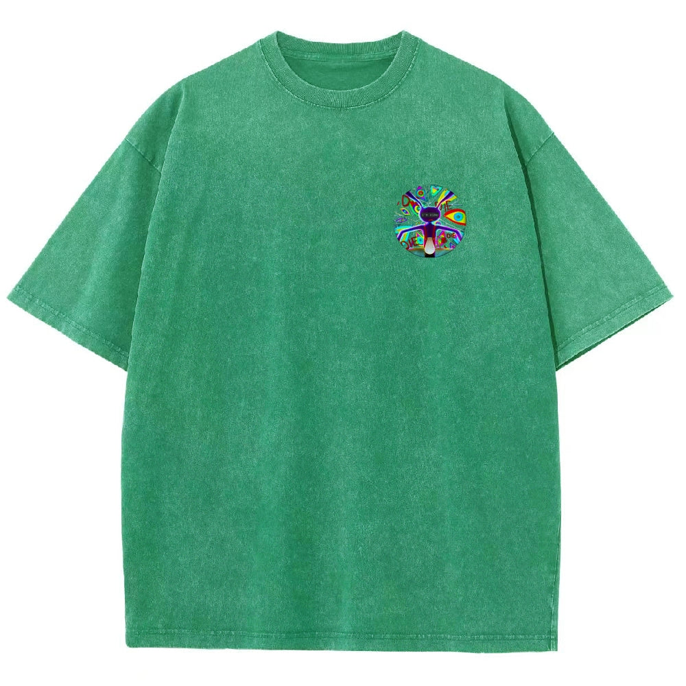 The Amazing Digital Circus Washed T-shirt 2606016899